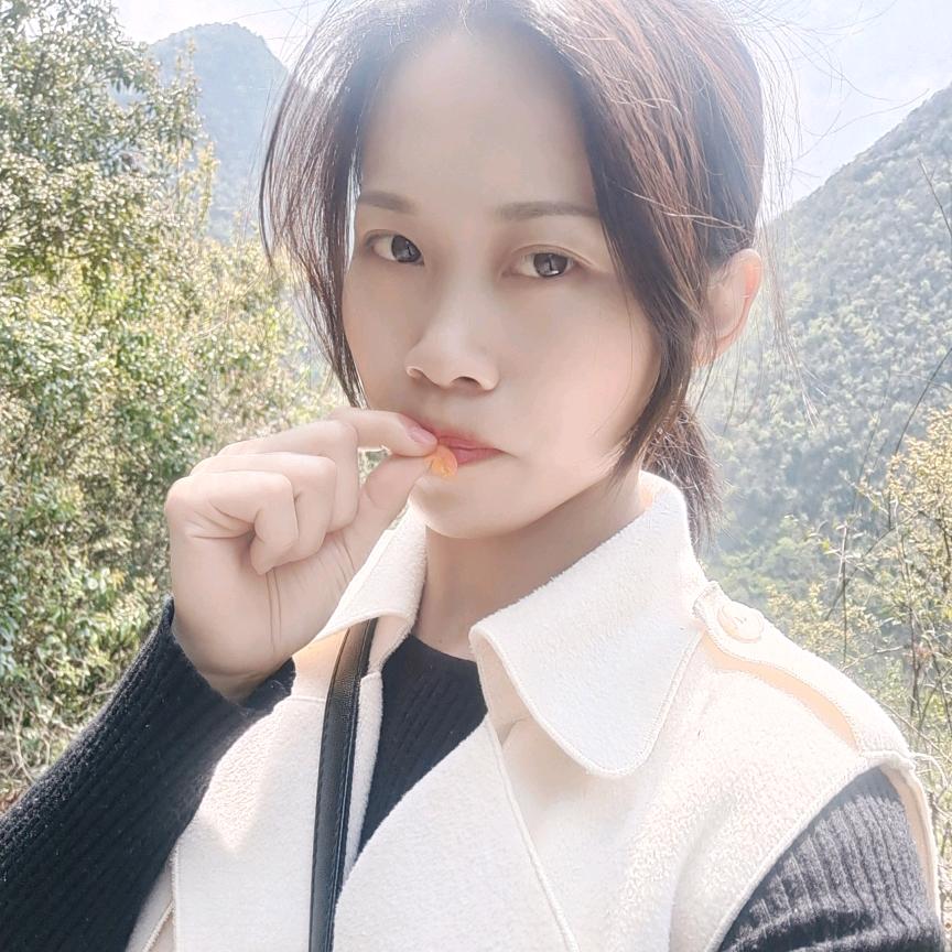 文山鲜汤鹅小代