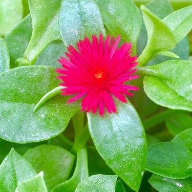 一叶🍃一朵🌸娜么美👩‍👧‍👧