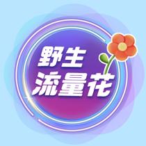 野生流量花