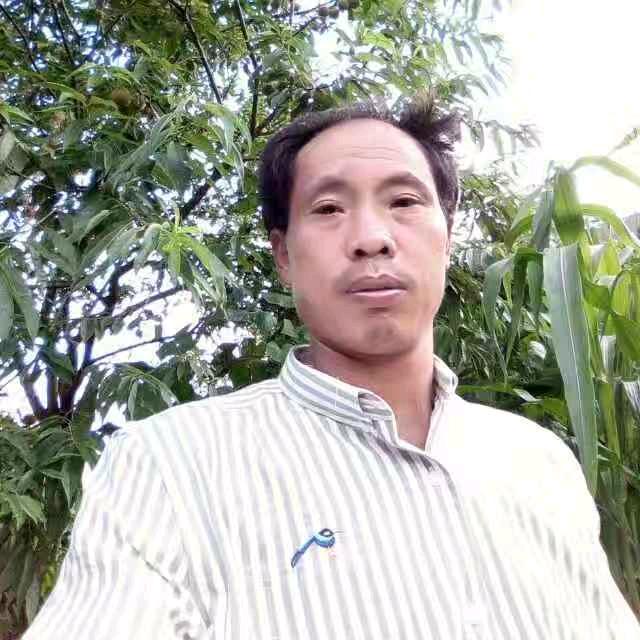 雨过天晴镇雄县（刘）