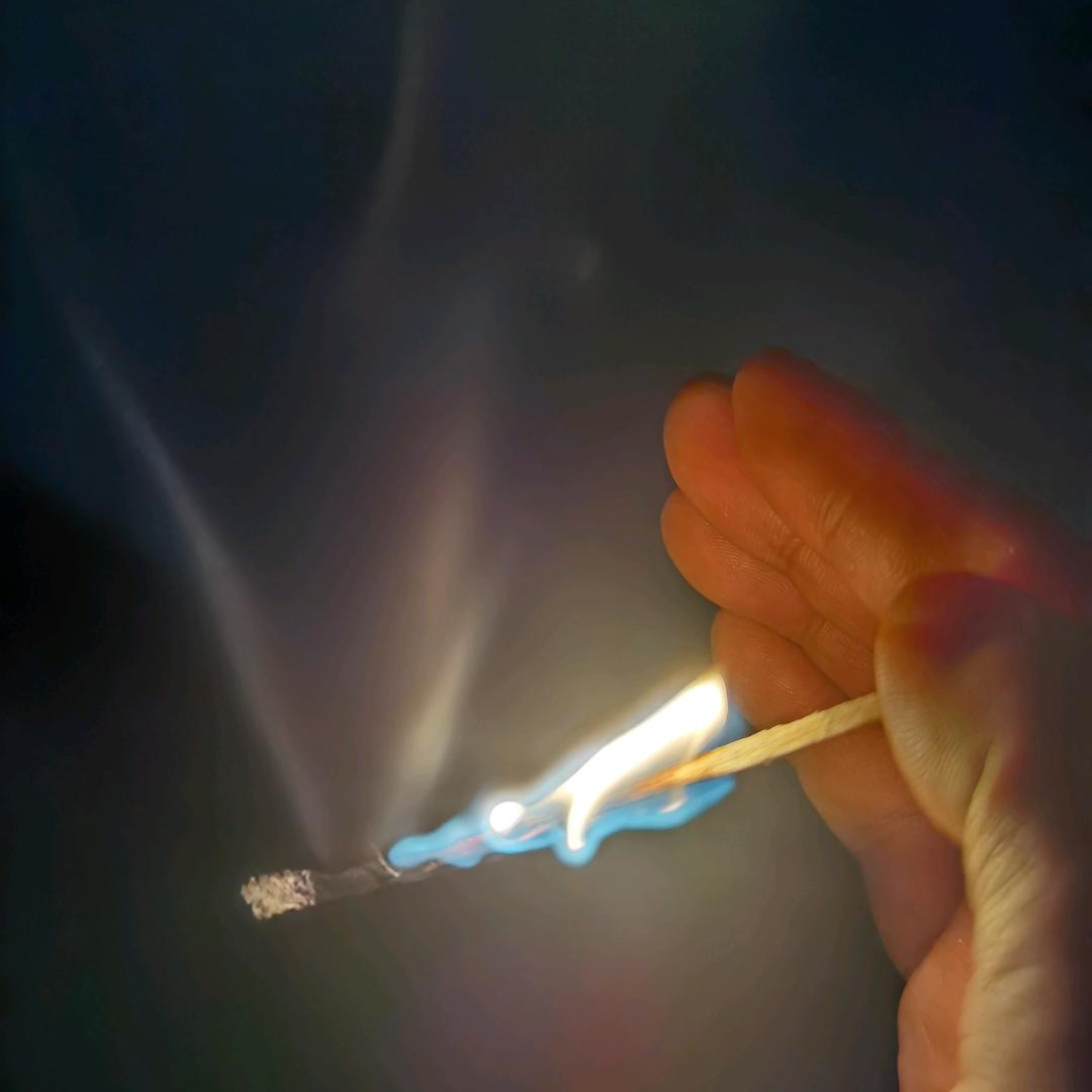 王十一
