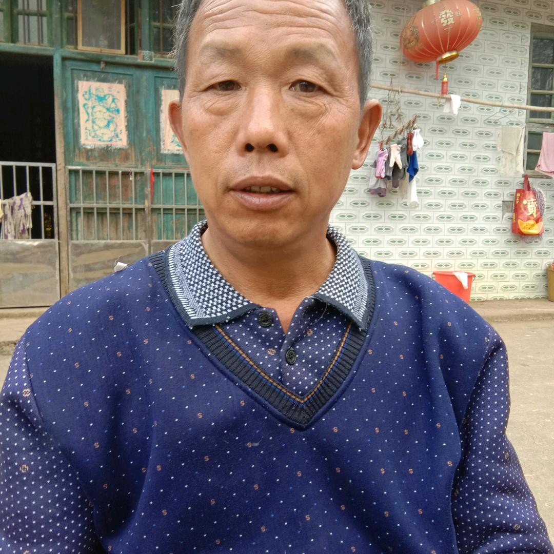杨同德