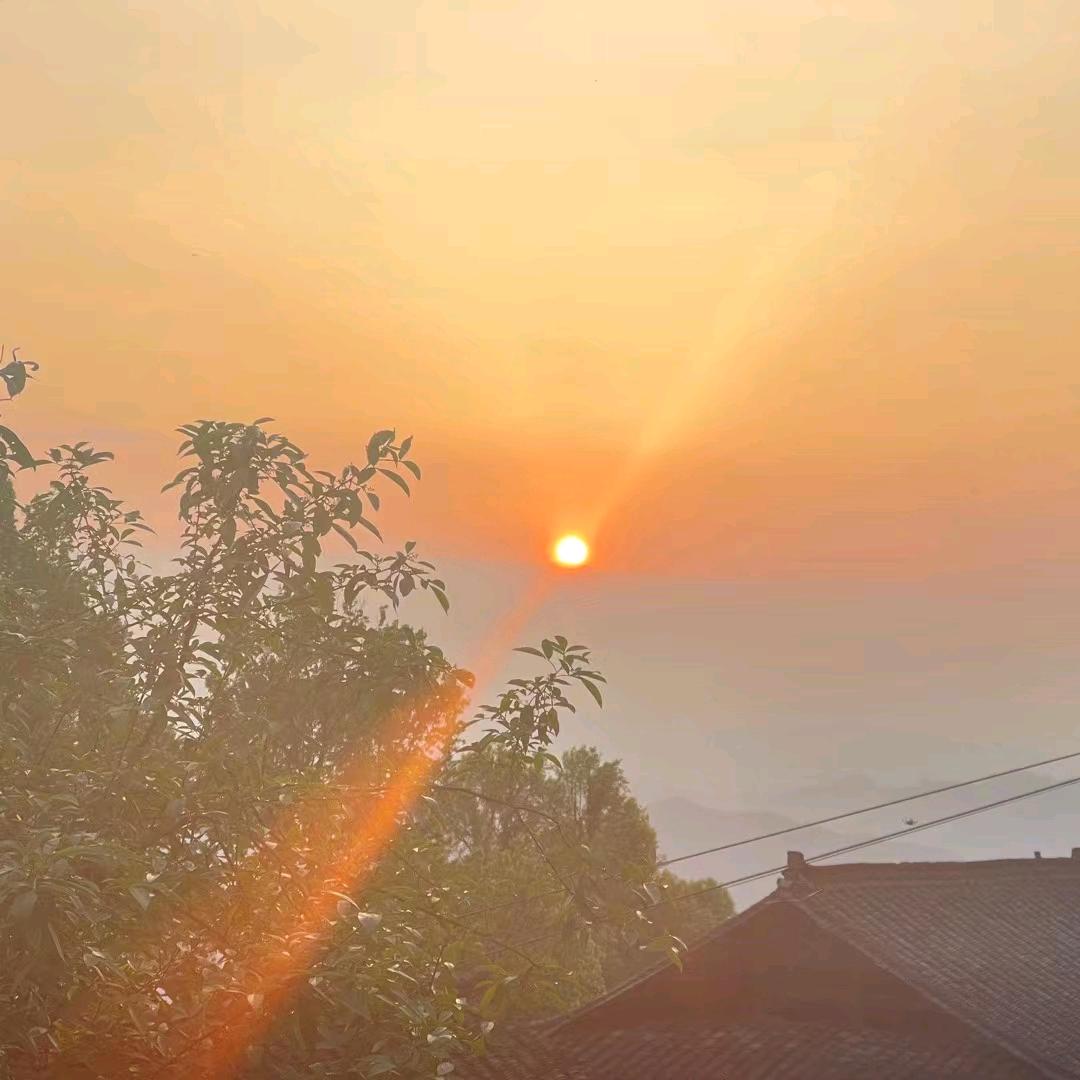 夕陽