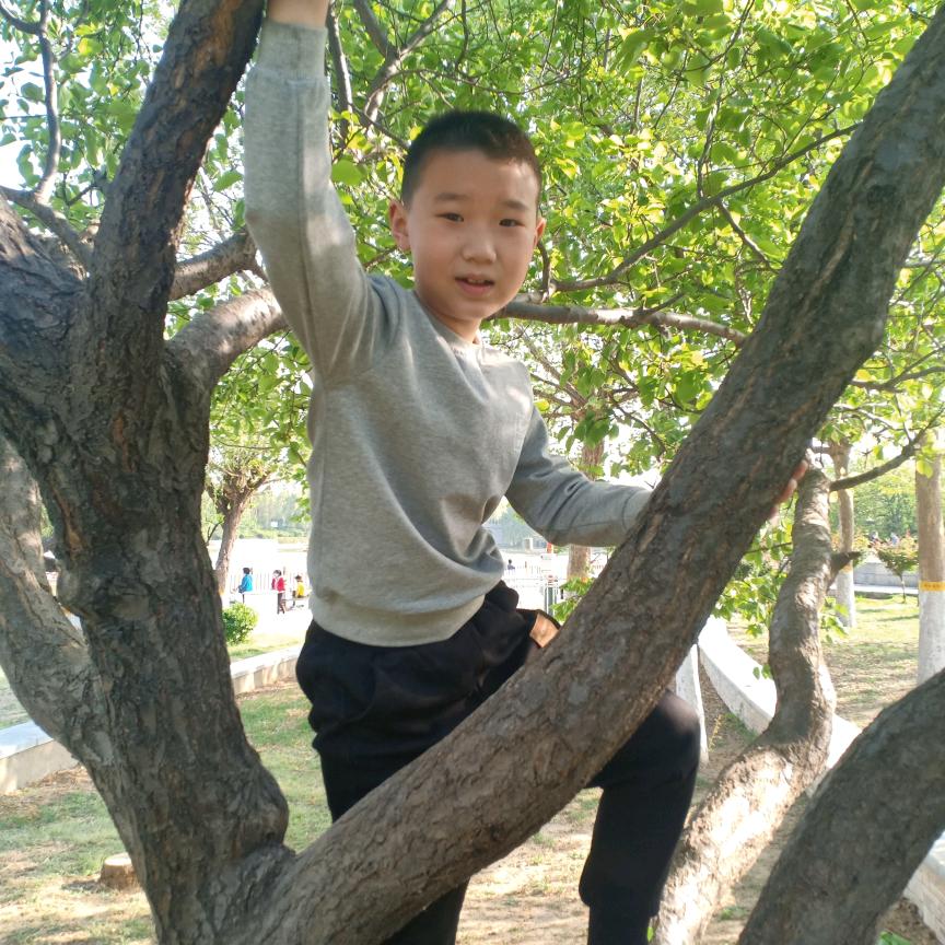 无所畏？