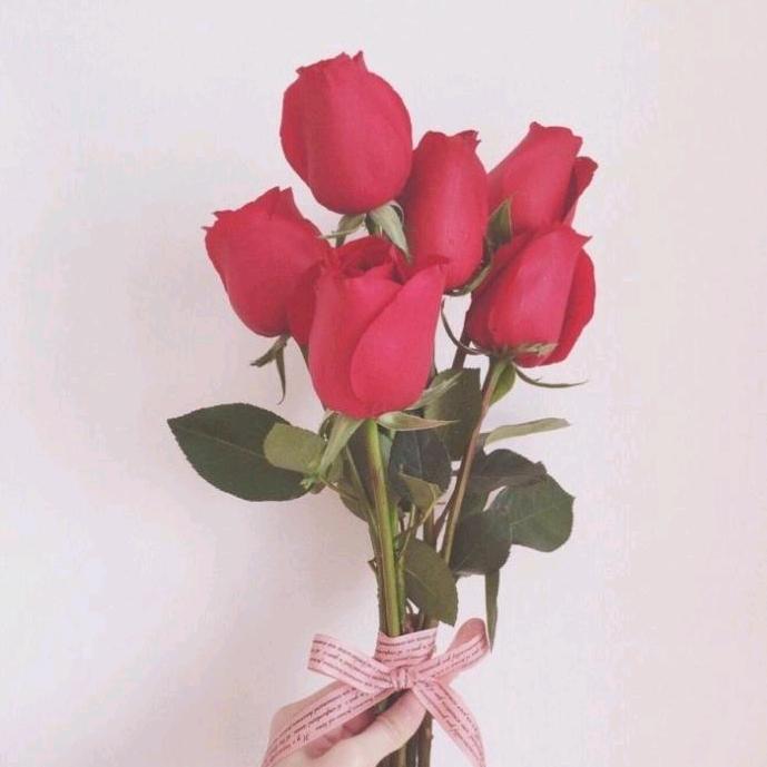 玫瑰花