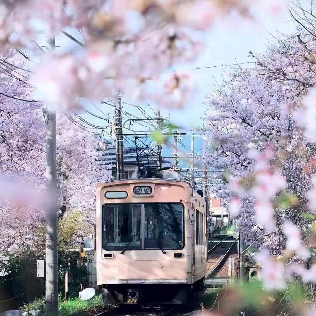 棉花糖