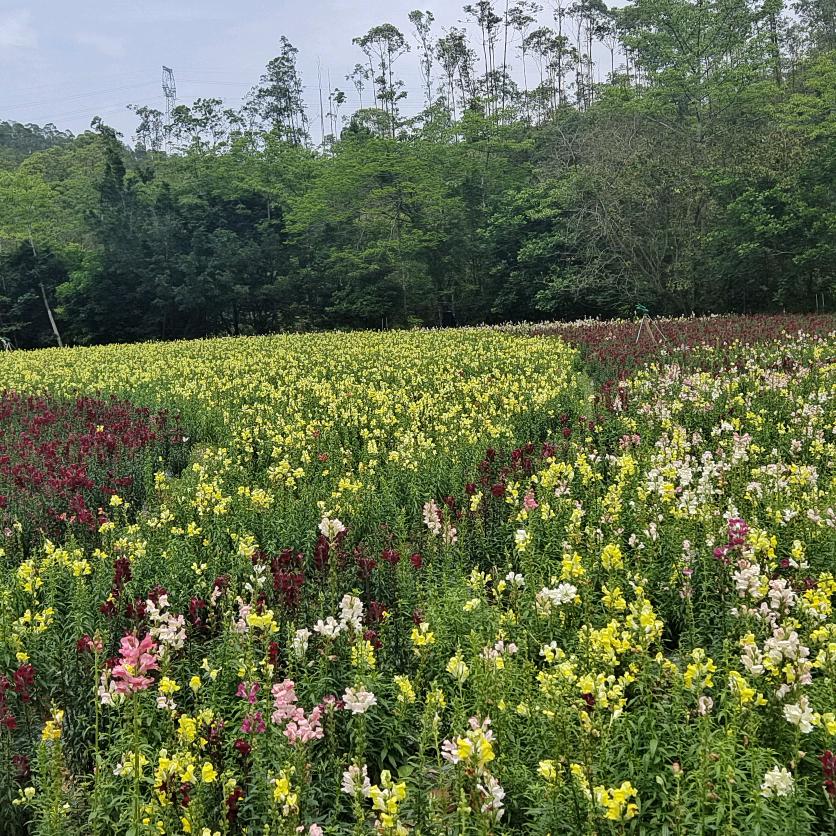 天裕包装/加兴科技&专业模切