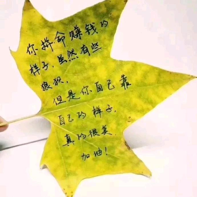空白🍀