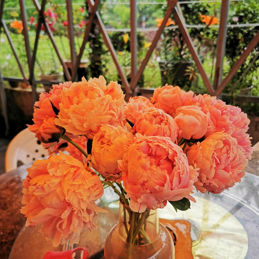 丽水市莲都区熹厨餐饮服务部