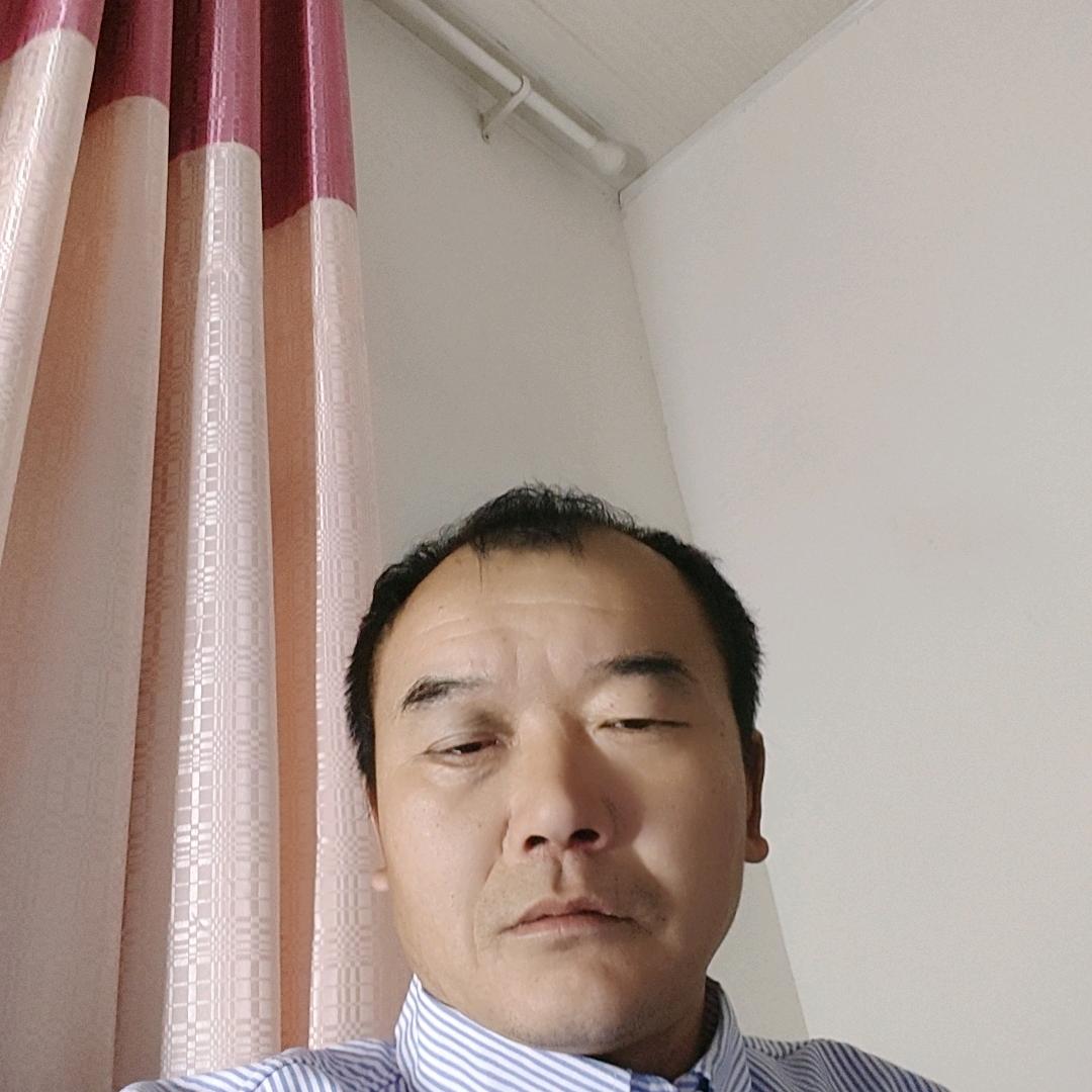 春哥真心换真爱