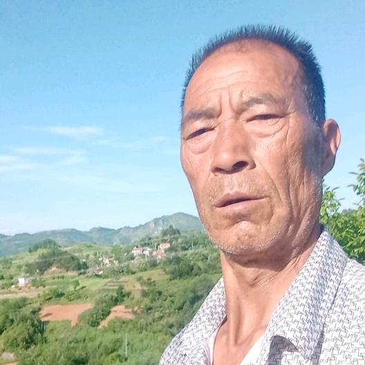 大海