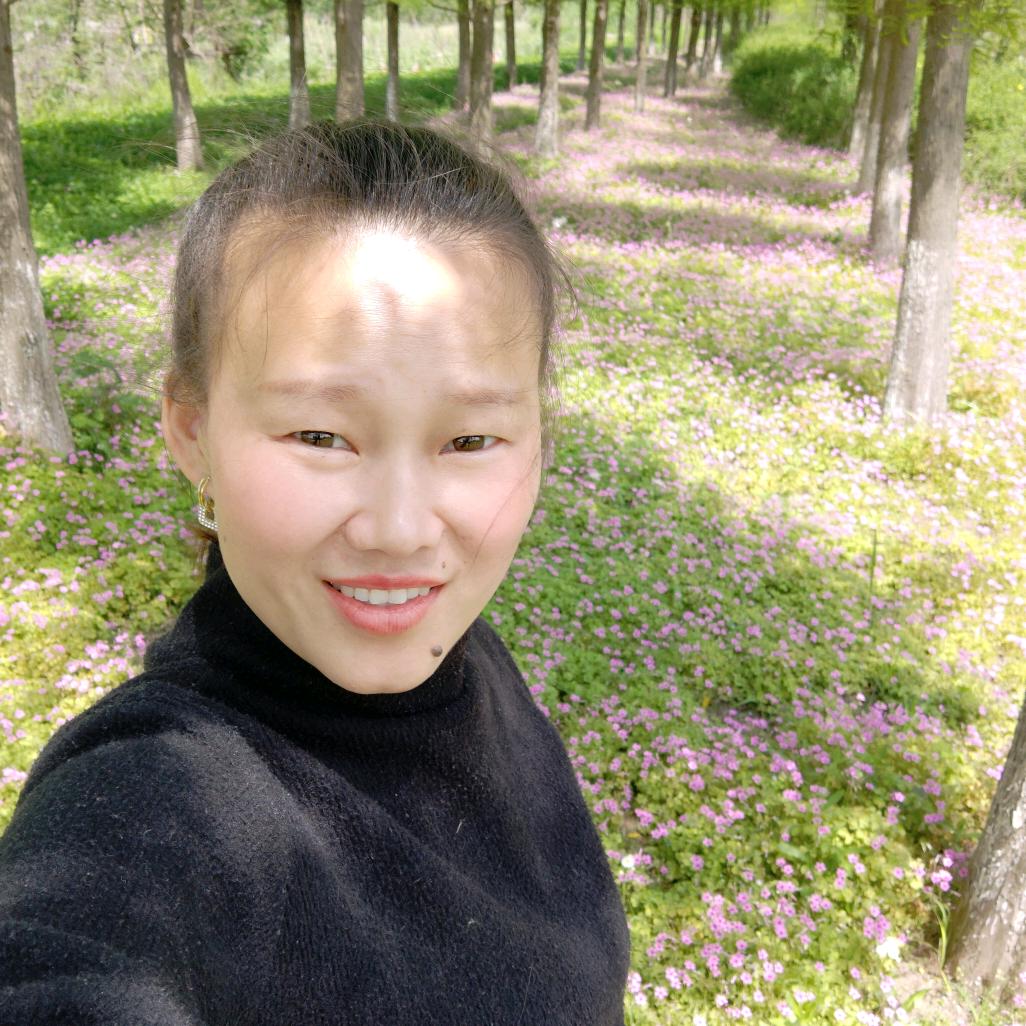 梦幻果蔬