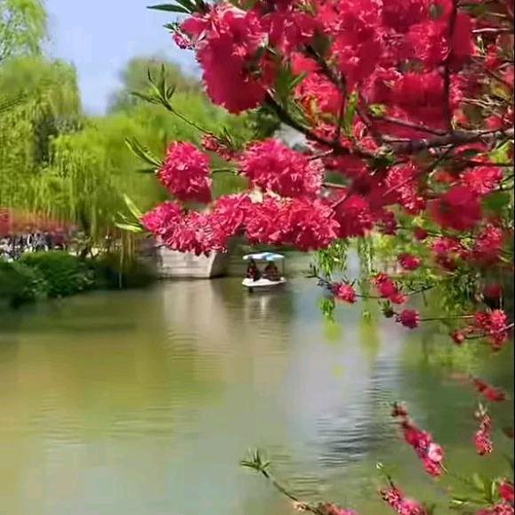 诗韵妹妹
