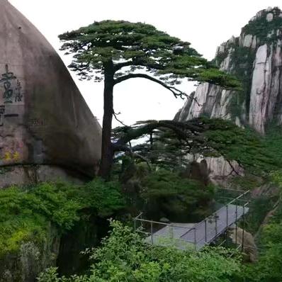 笑看江湖