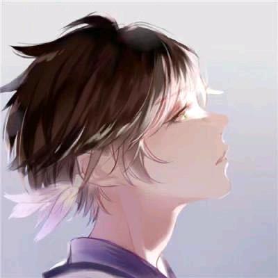 一只双拳