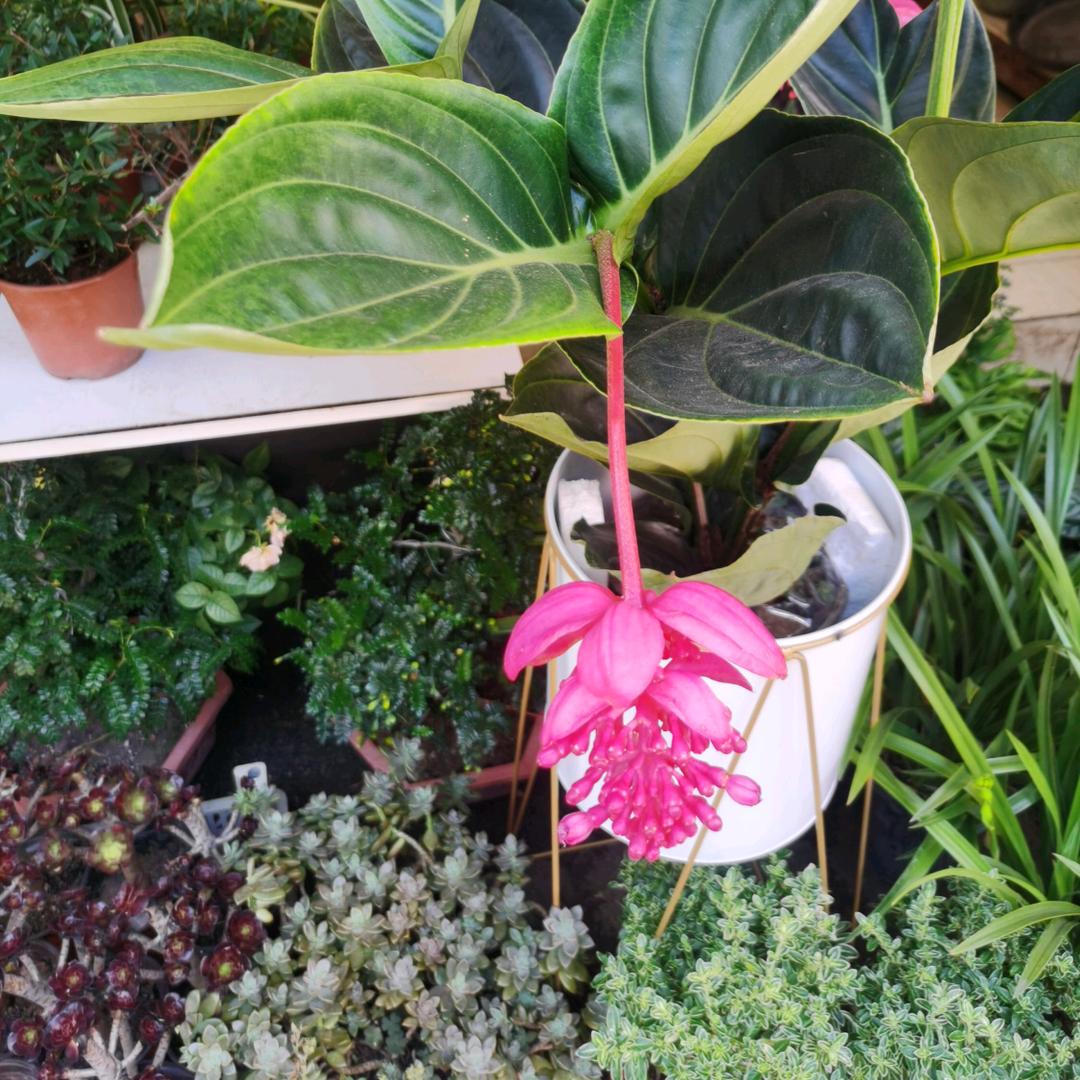 🌈🌈阳光🌈🌈