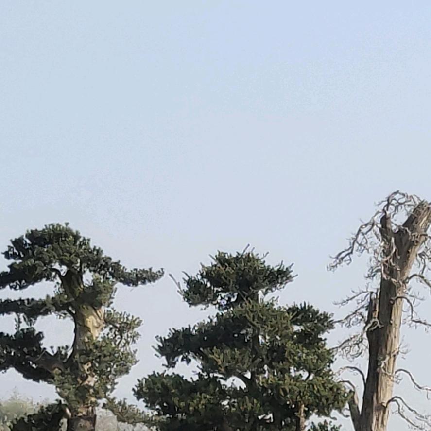 浮梁啊军