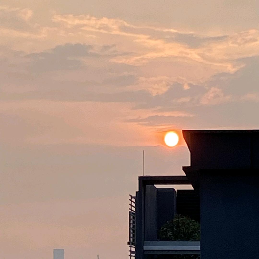 小禅（不弃蝉）