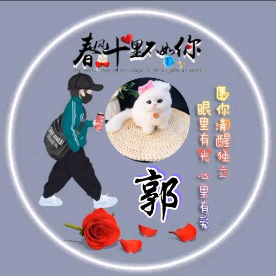 落花飘叶