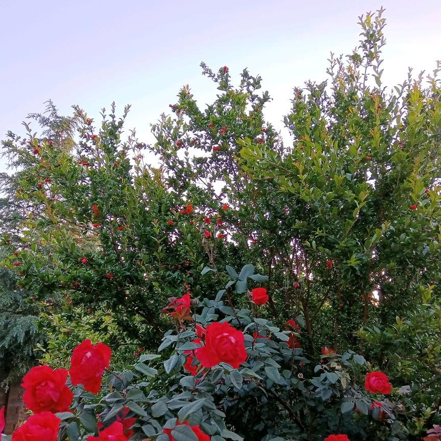 真实的我在奋斗