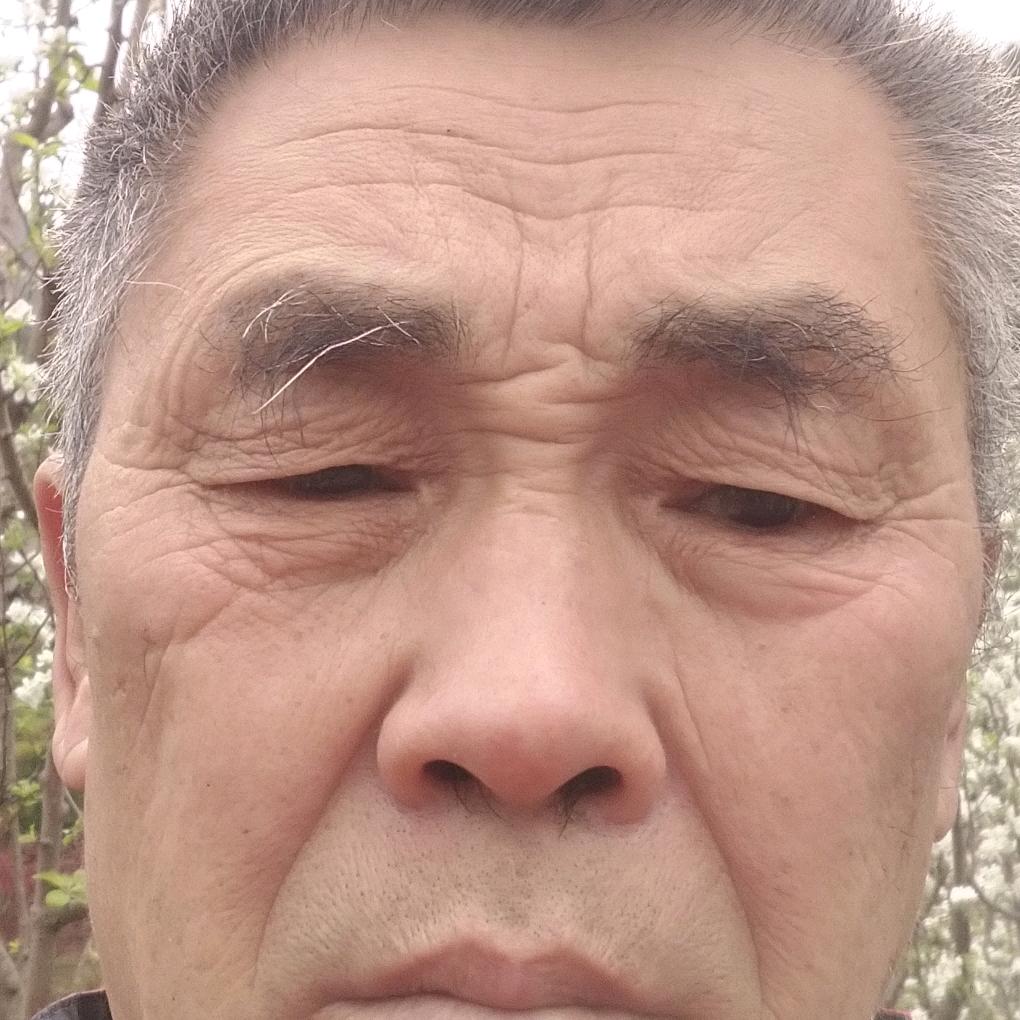 泵老