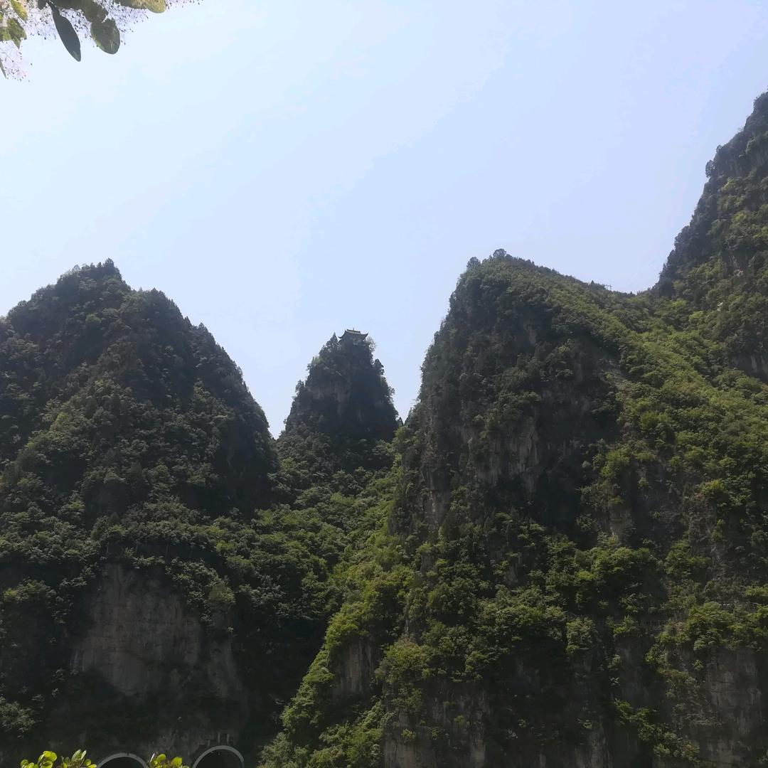 候鸟