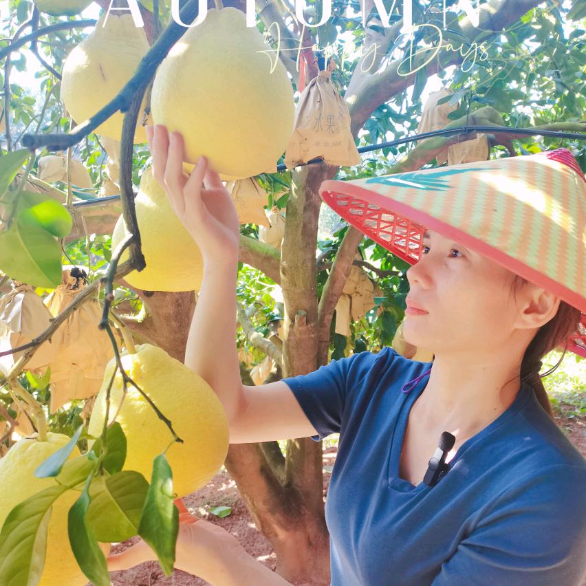 容县酸小美