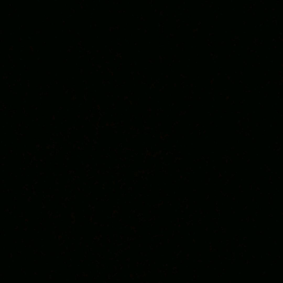 邹联启
