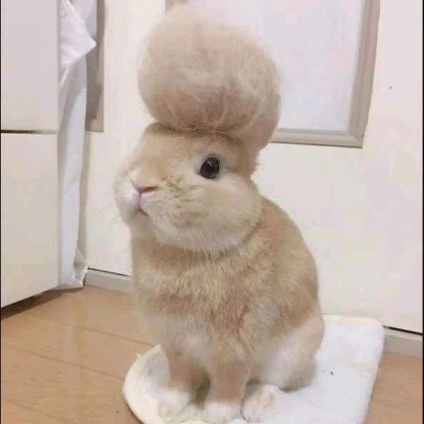 墨子先森