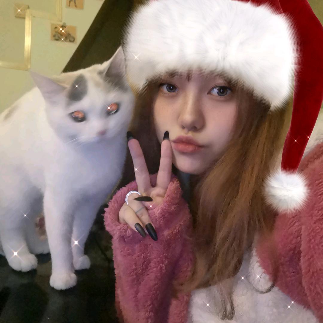 袁不圆🐈