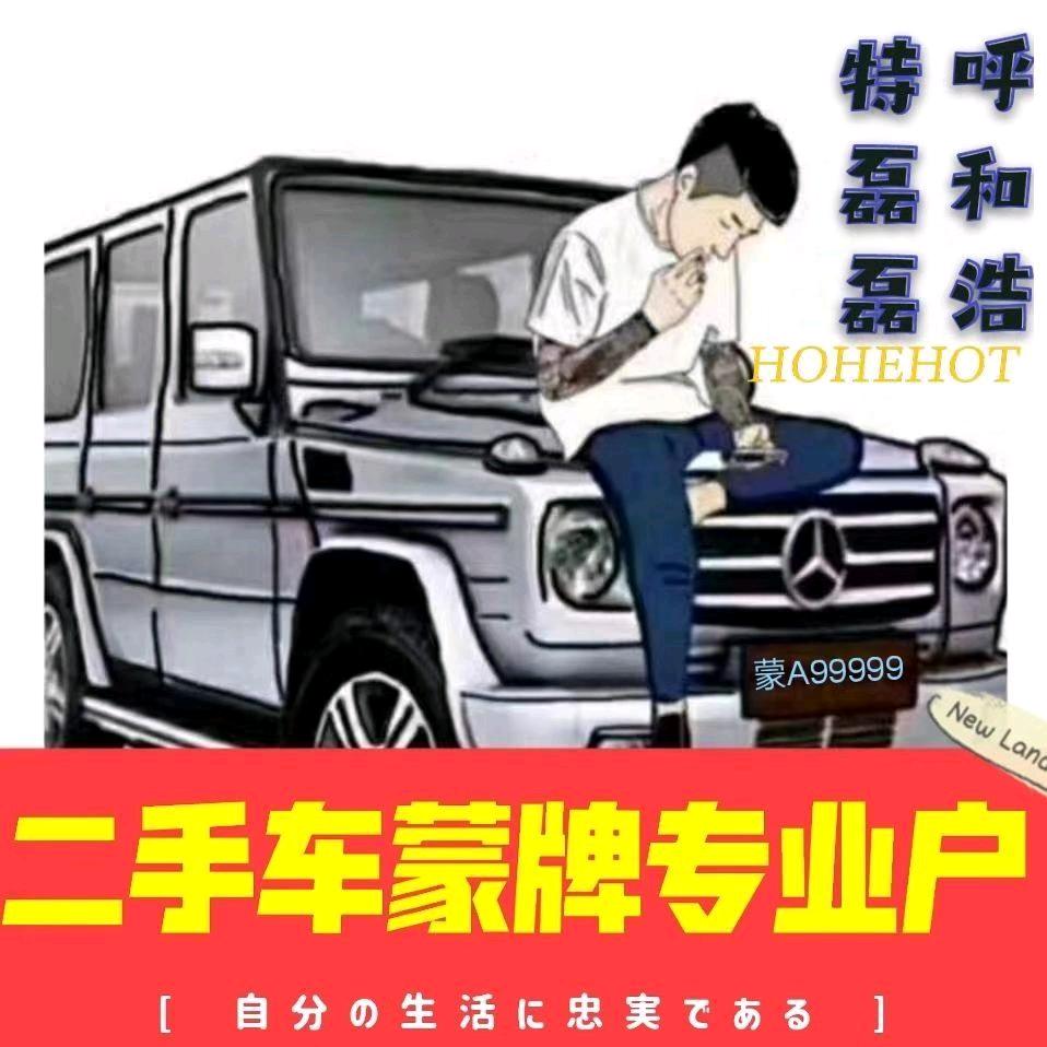 💯磊二手车