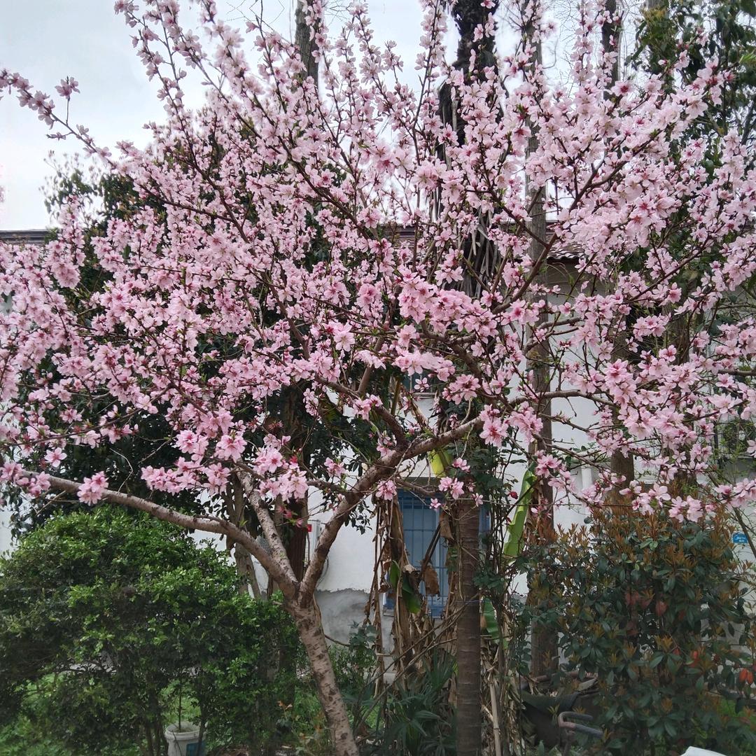 心若移动，如何联通