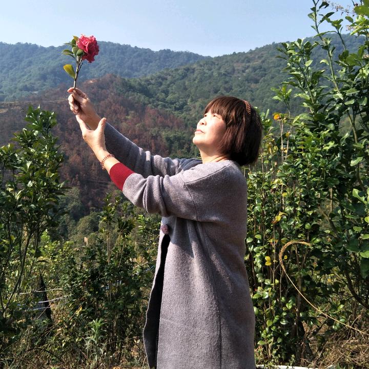 小欣奶奶❤️兔