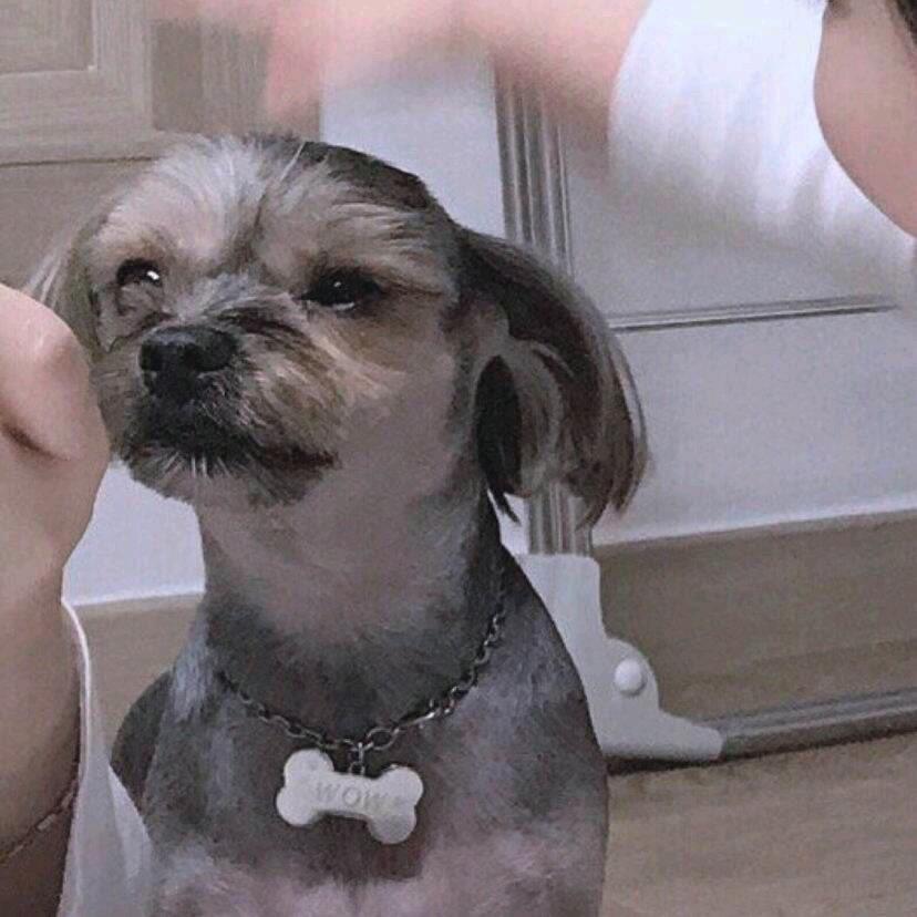 🌈🌈小李没烦恼🌈