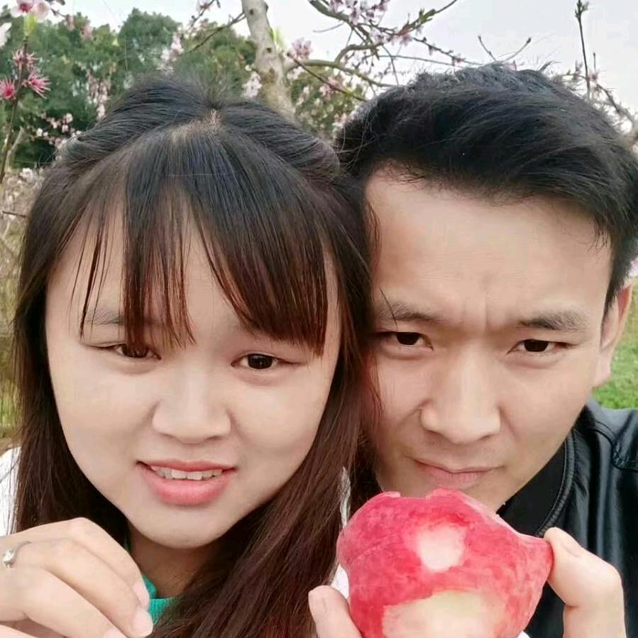 美龙牌专家，装饰