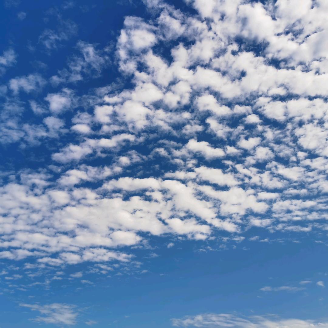 旺仔♈Lovearmy🔱