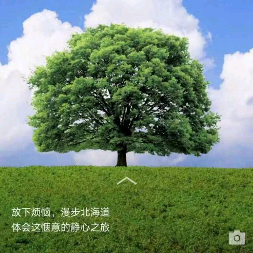 我爱你一生一世
