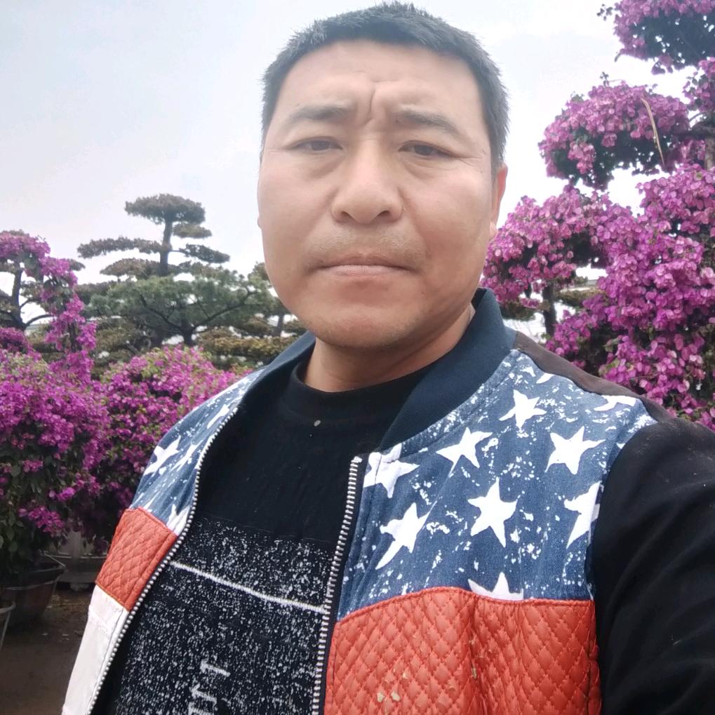 专搭铁棚。简易房。