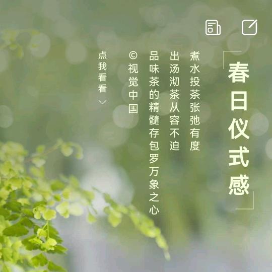 闲情逸致 MZ-Yang-Z