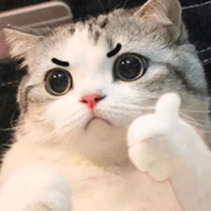 阿良