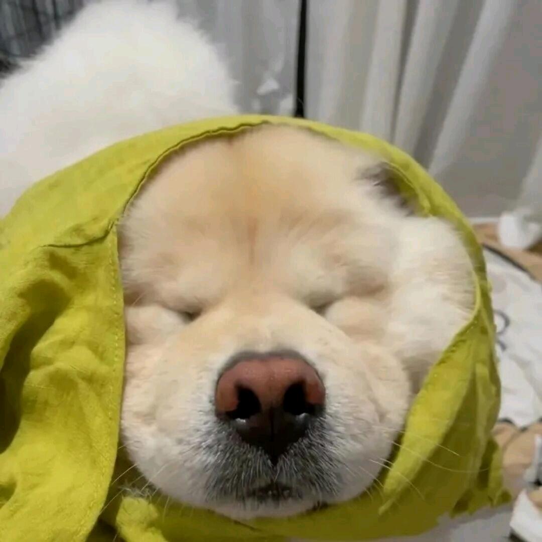 墨温酒