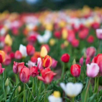 辛苦你了辛苦你了