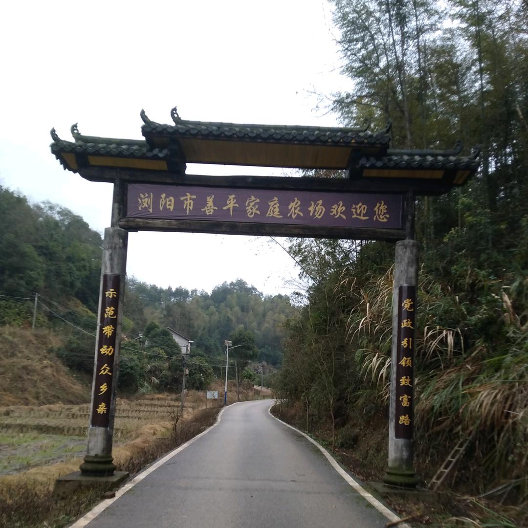 浏阳市善平家庭农场。