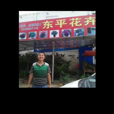 东平花卉〔赤脸店街西首路南〕