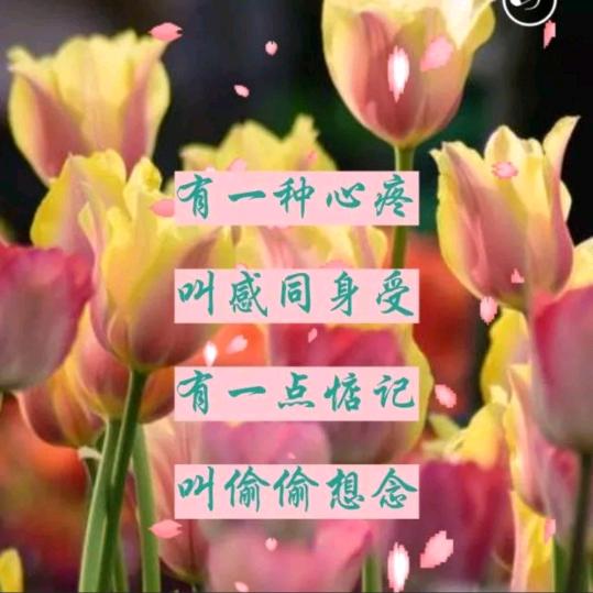 午夜想你