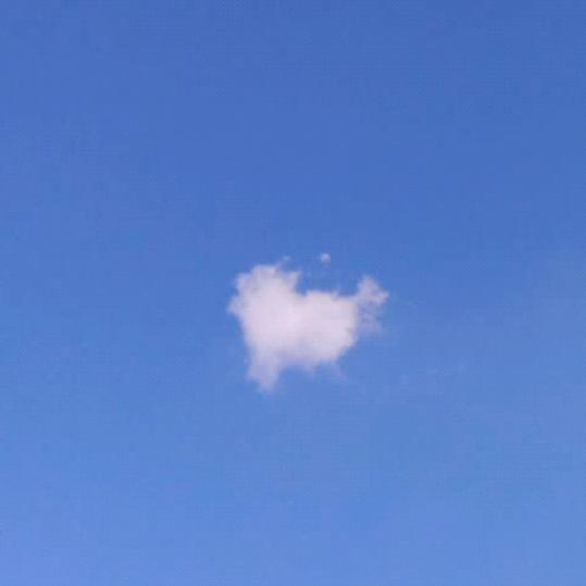锋