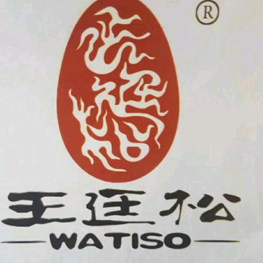 王廷松溏心松花鸭皮蛋