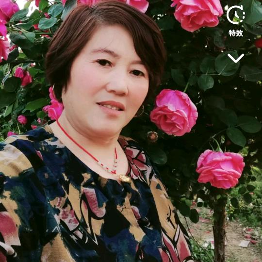 美丽的百合（拒连赞，拒合拍🙏🙏）