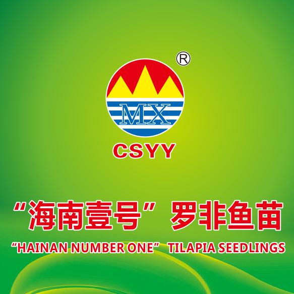 海南壹号罗非鱼苗