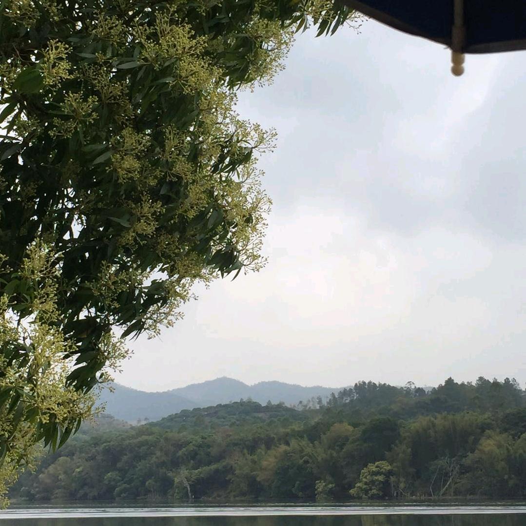 通透